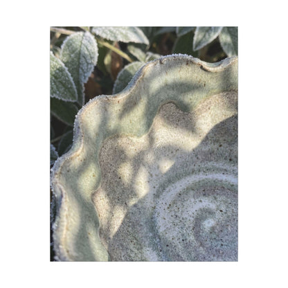 Dappled Ceramic Bowl Canvas Art - Japandi Seijaku