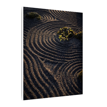 Spring Rock Garden Shadow Zen Canvas Art | Atmospheric Decor
