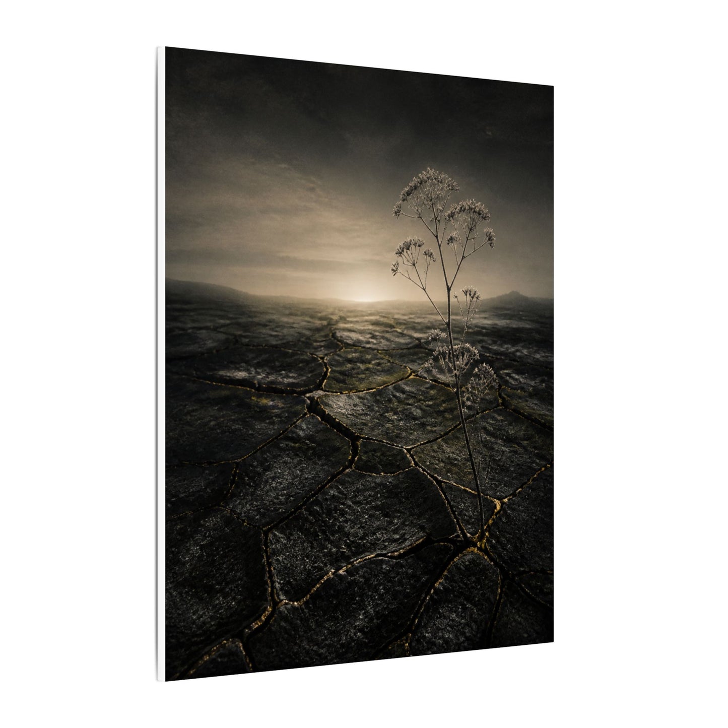 Dawn Cracked Earth Canvas Art - Dark Japandi Mono No Aware