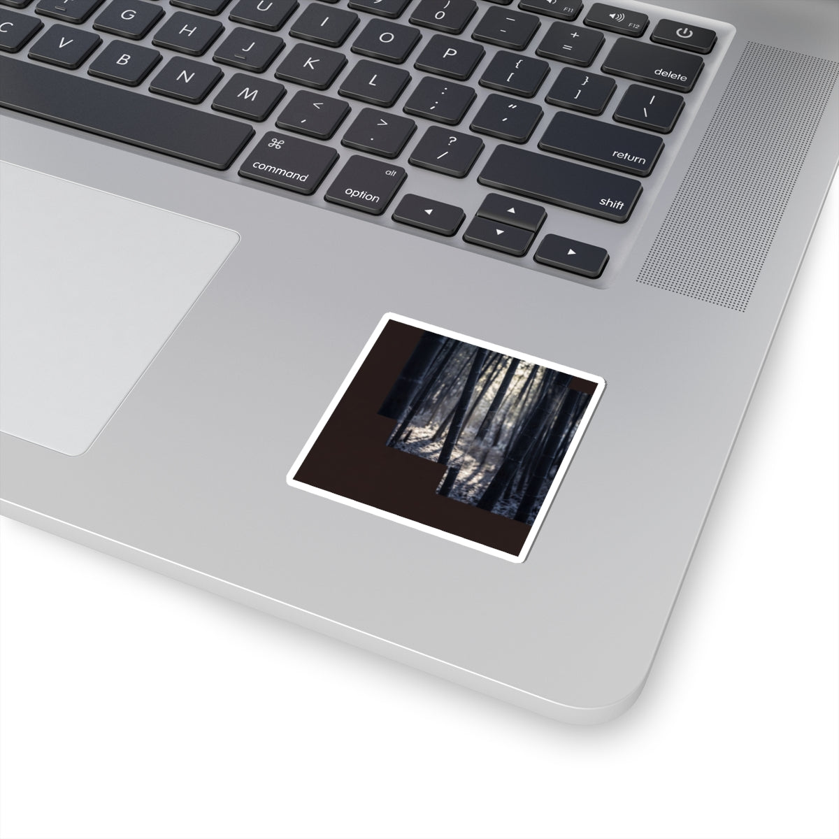Dappled Bamboo Grove Sticker - Dark Japandi Ma