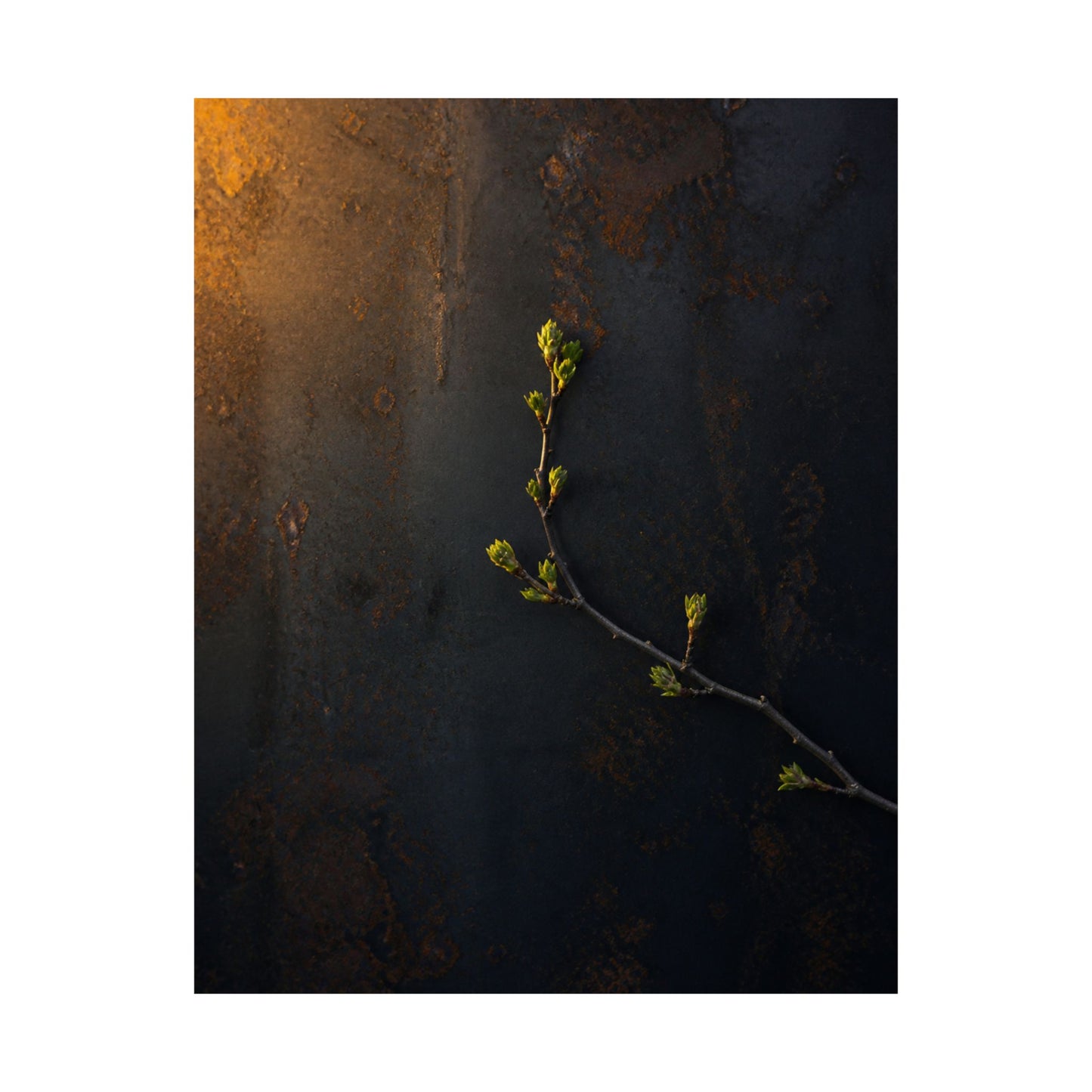 Bold Rust Patina Wall Art Print - Moody Minimal Dark Japandi