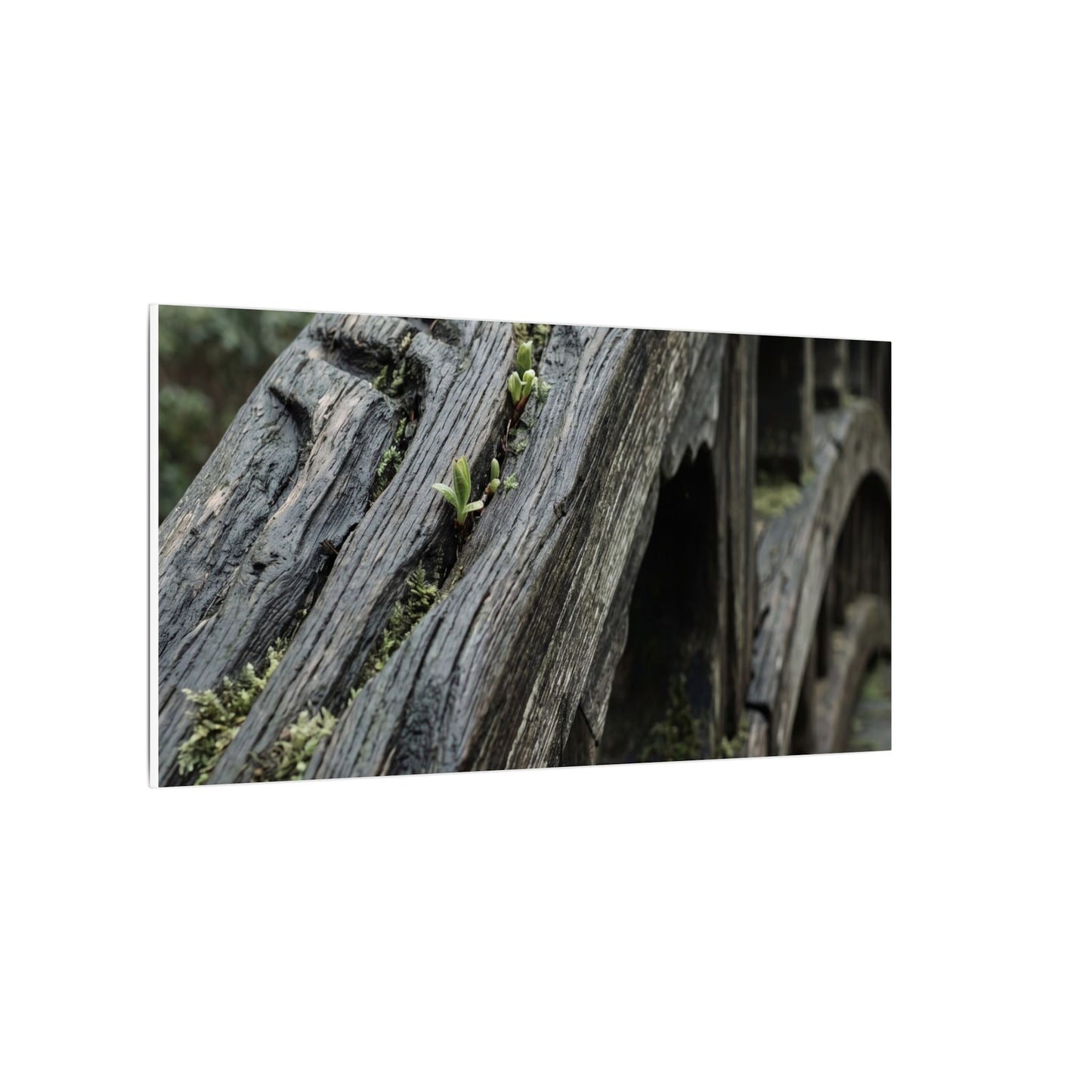 Overcast Wooden Bridge Canvas Art - Japandi Kanso