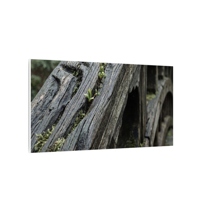 Overcast Wooden Bridge Canvas Art - Japandi Kanso