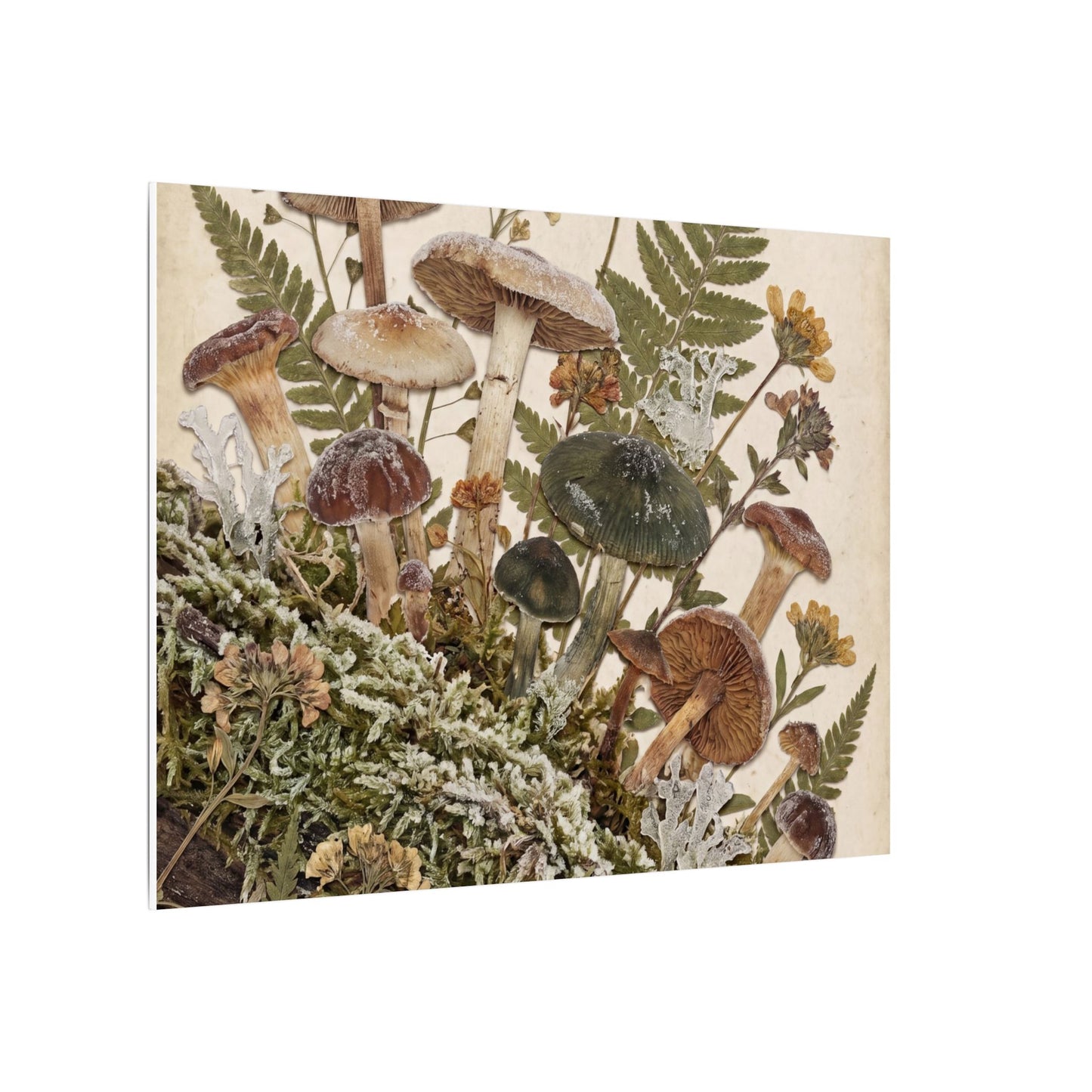Winter Wild Mushrooms Herbarium Canvas Art | Enchanting Decor