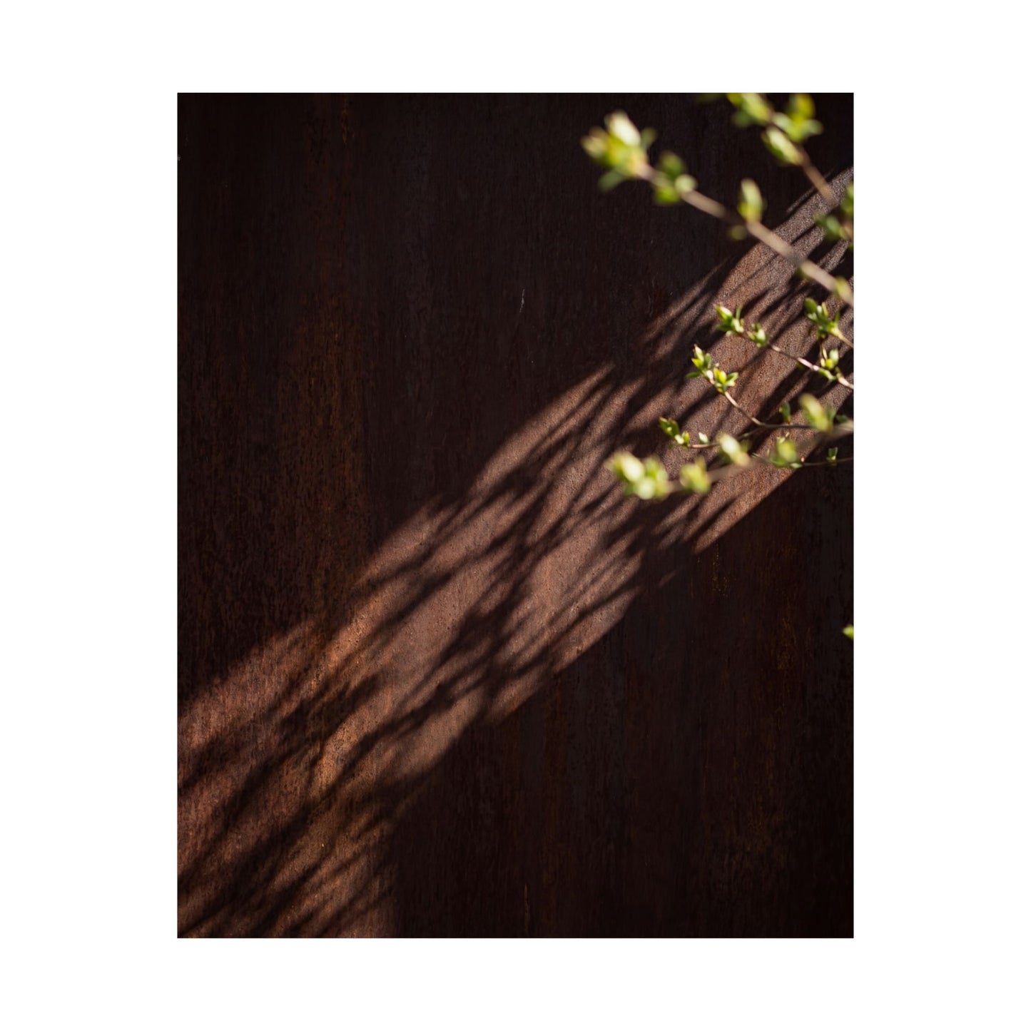 Rust Patina Spring Wall Art Print | Dark Japandi Atmospheric Design