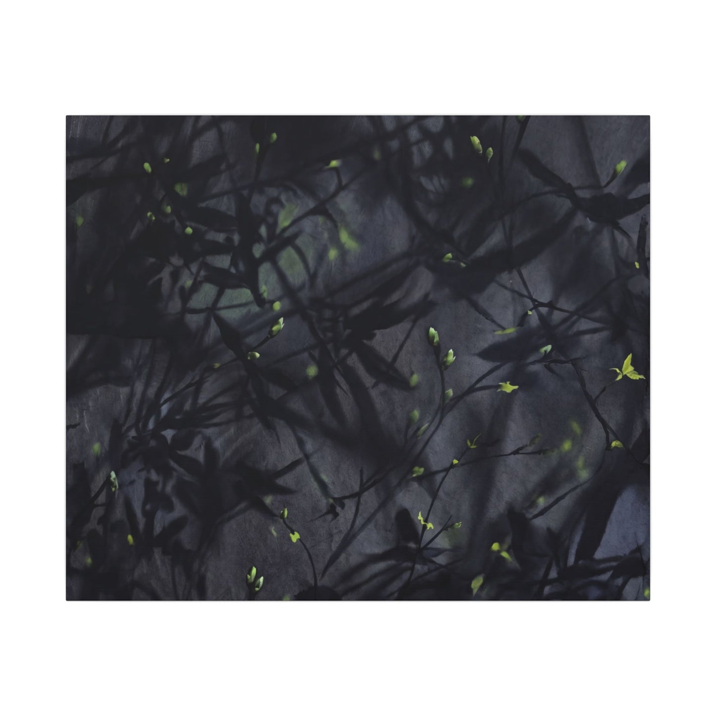 Shadow Play Spring Canvas Art | Dark Japandi Atmospheric Design