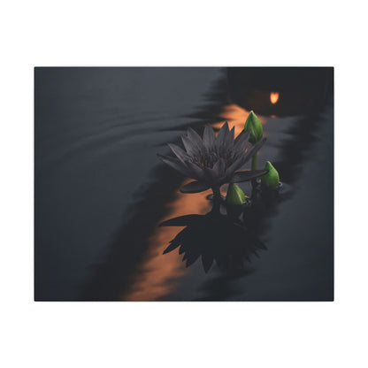 Seijaku Lotus Flower Canvas Art - Dark Japandi Shadow Zen