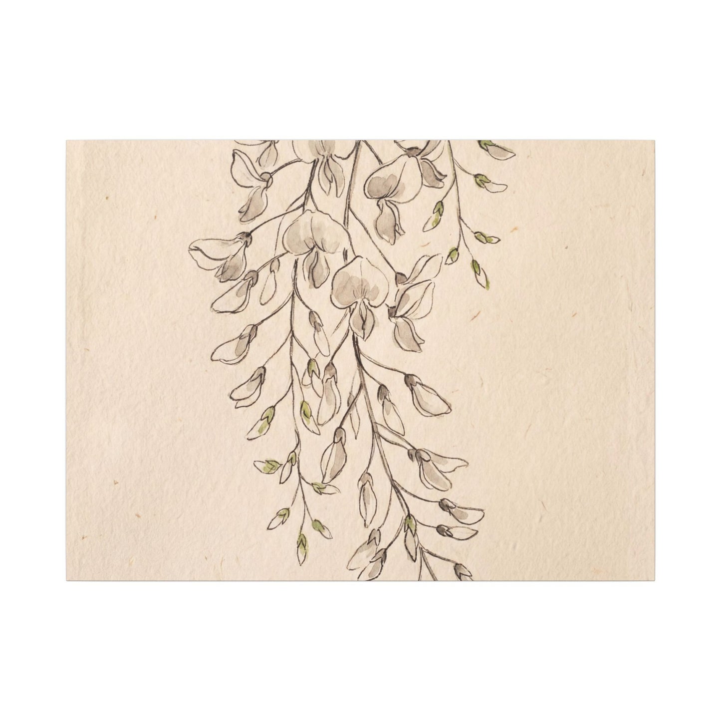 Japandi Wisteria in Golden Hour | Minimal Line Canvas Art Art Print