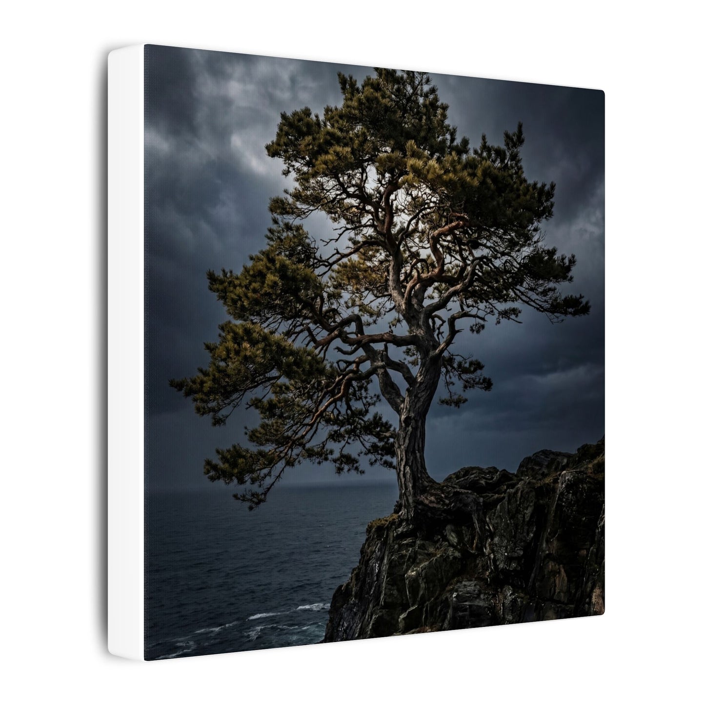 Dappled Pine Tree Canvas Art - Dark Japandi Fukinsei