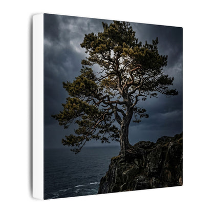 Dappled Pine Tree Canvas Art - Dark Japandi Fukinsei