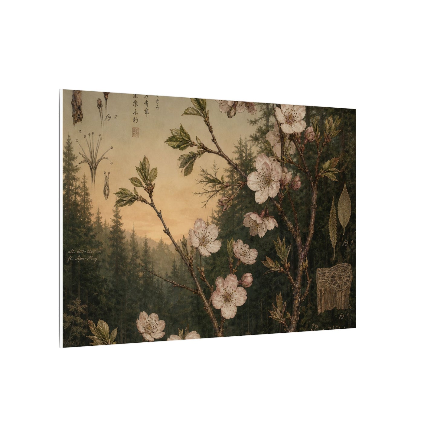 Spring Cherry Blossom Herbarium Canvas Art | Nostalgic Decor