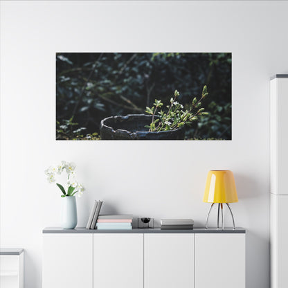 Dappled Ceramic Bowl Canvas Art - Dark Japandi Datsuzoku