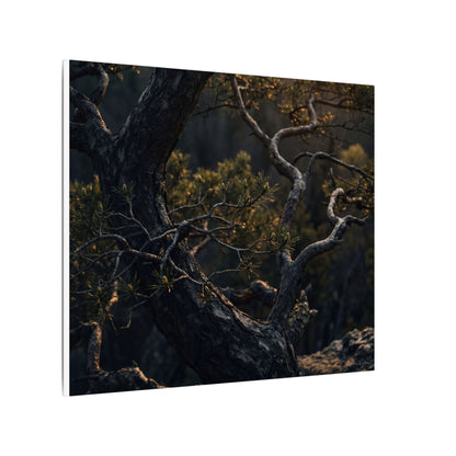 Moody Pine Tree Canvas Art - Moody Minimal Dark Japandi
