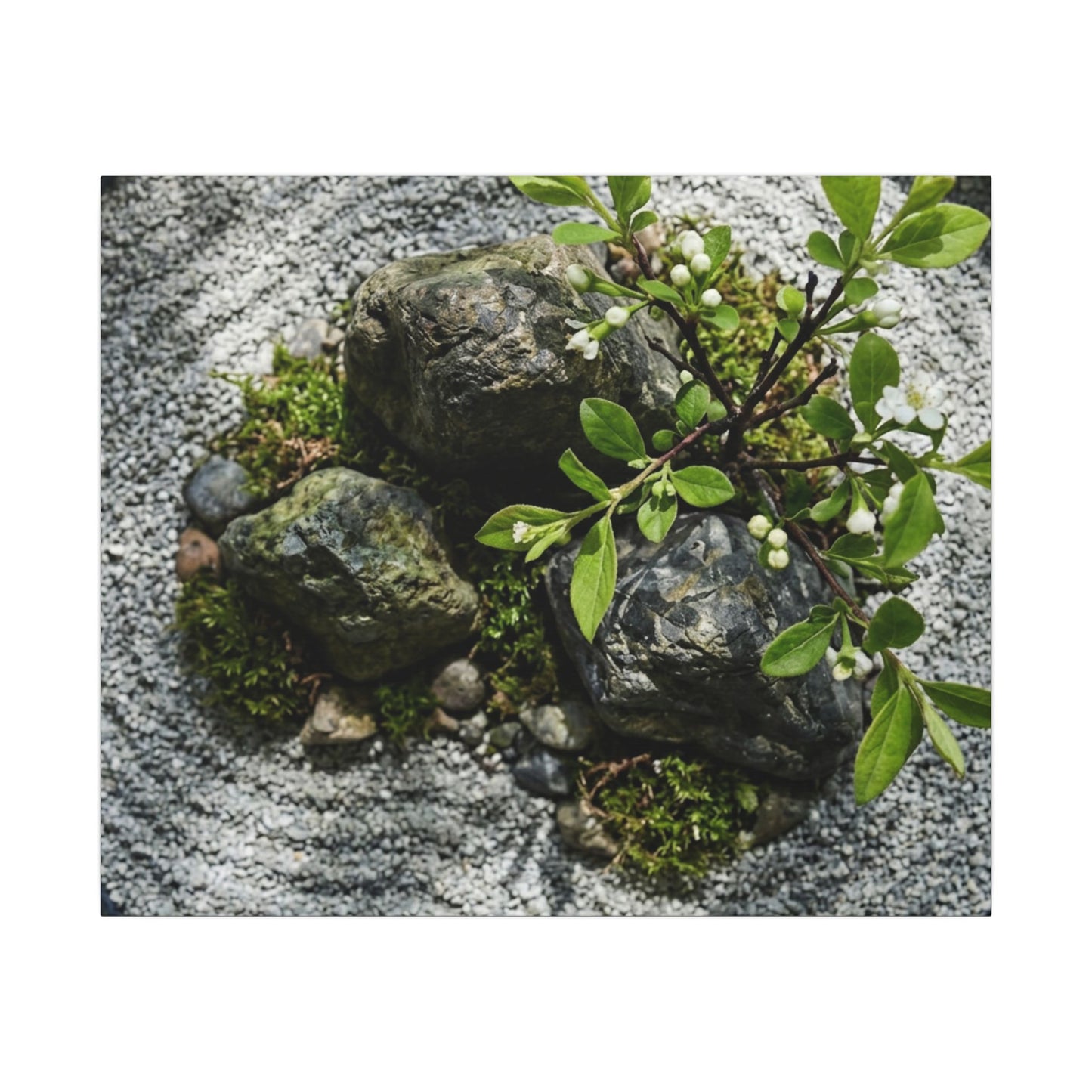 Zen Ceramic Bowl in Dappled | Karesansui Canvas Art