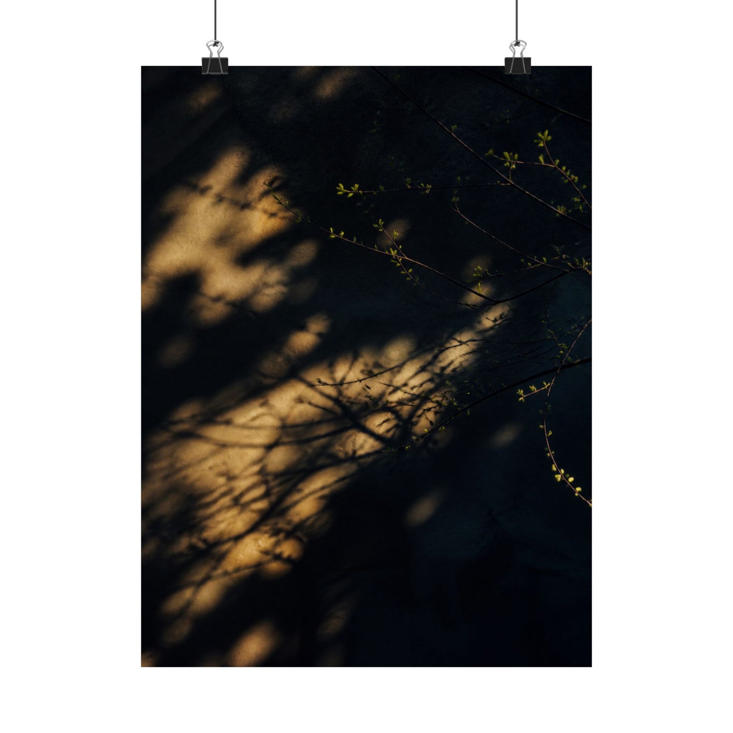 Shadow Play Spring Wall Art Print | Dark Japandi Bold Design