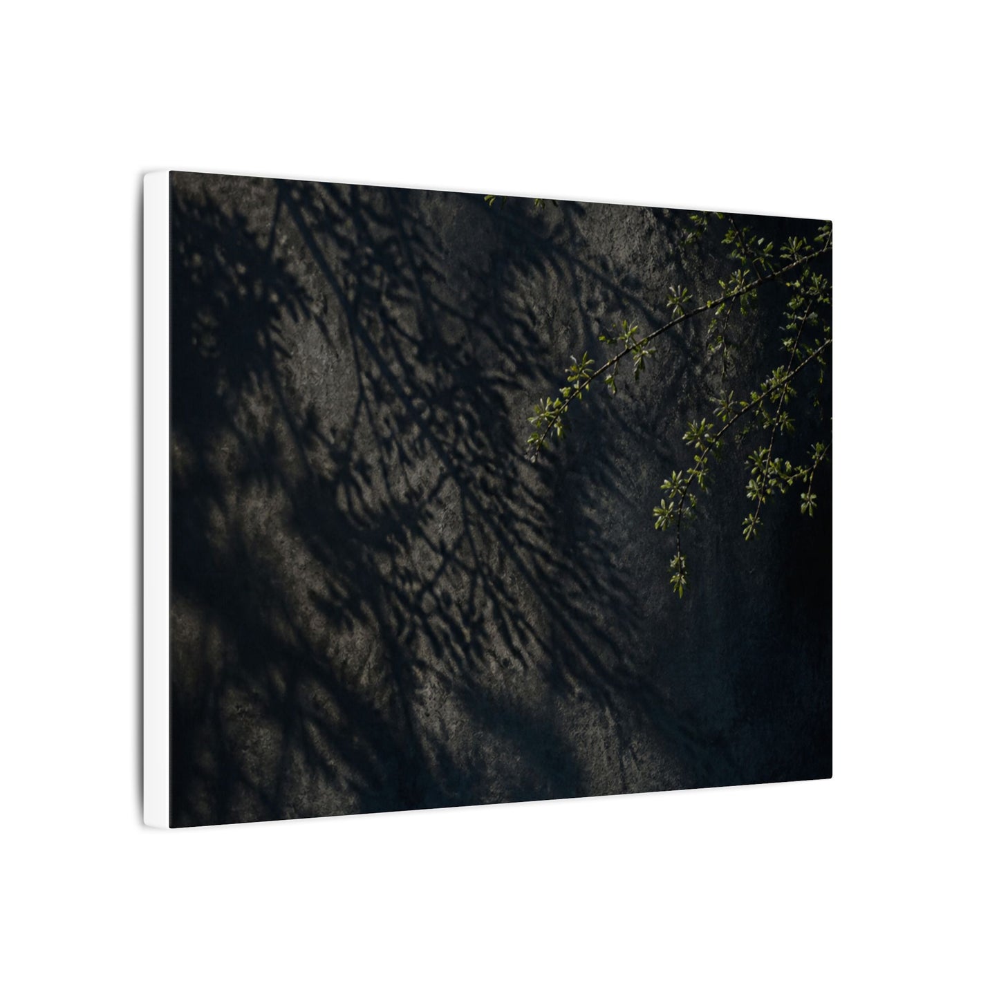 Overcast Shadow Play Canvas Art - Dark Japandi Seijaku
