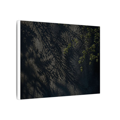 Overcast Shadow Play Canvas Art - Dark Japandi Seijaku