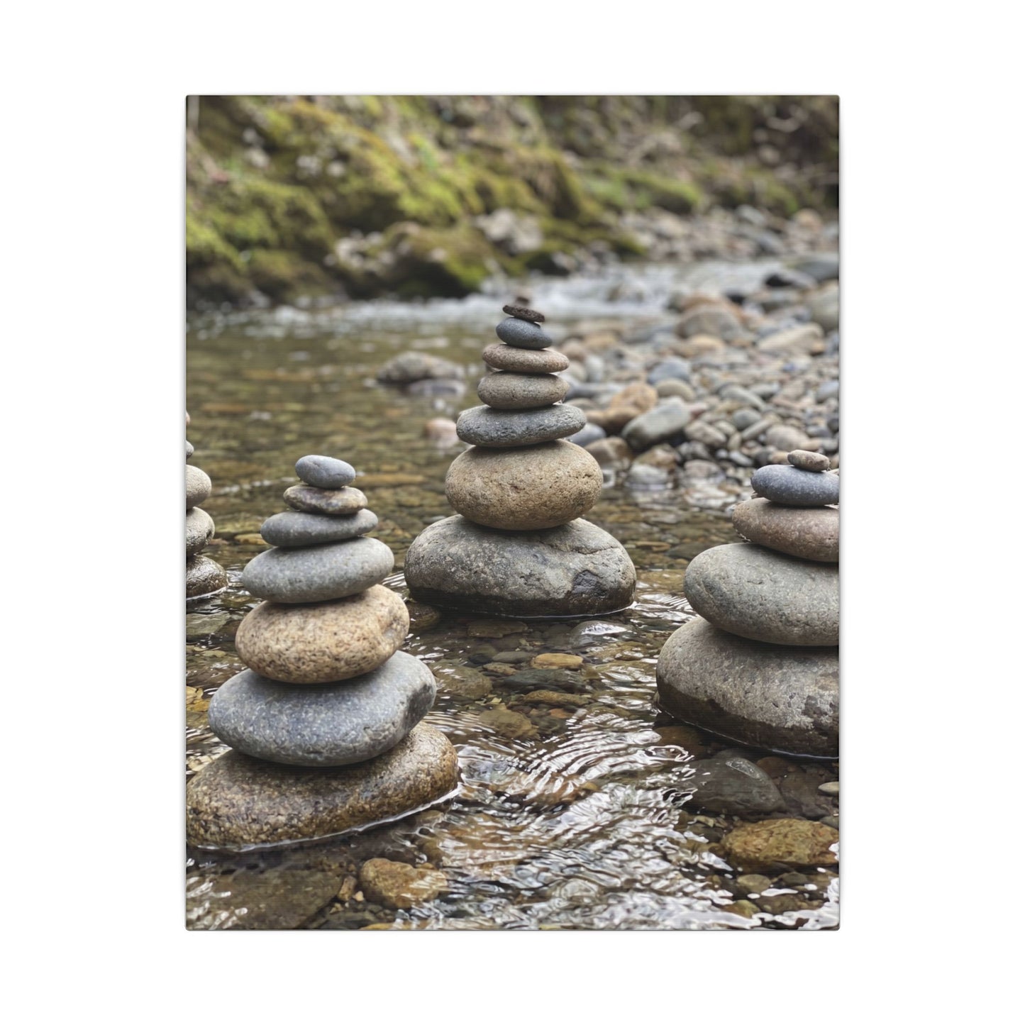 Bamboo Grove Winter Canvas Art | Zen Serene Design
