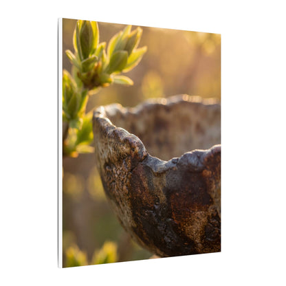 Golden Hour Ceramic Bowl Canvas Art - Dark Japandi Ma