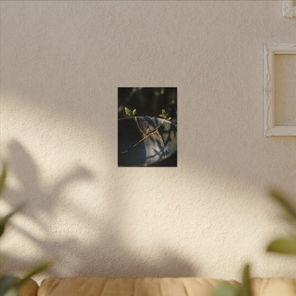 Seijaku Broken Pottery Canvas Art - Dark Japandi Shadow Zen