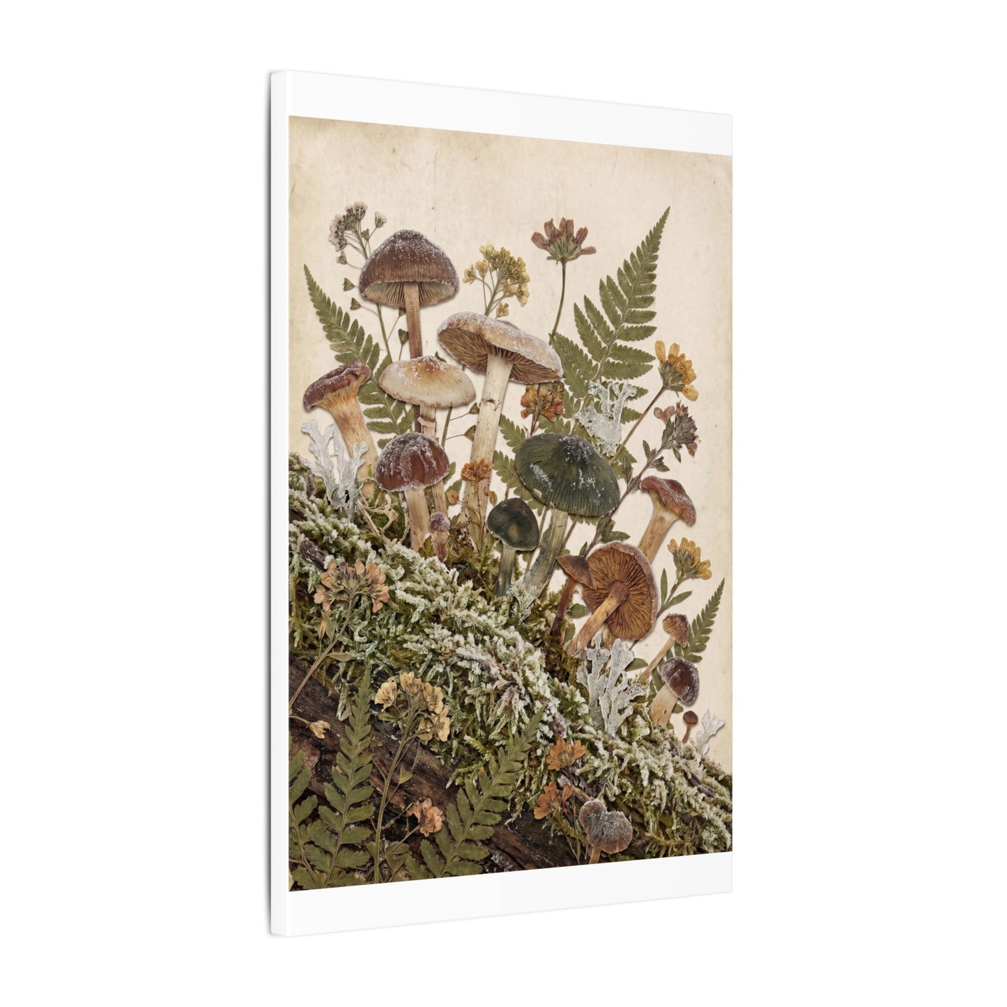 Winter Wild Mushrooms Herbarium Canvas Art | Enchanting Decor