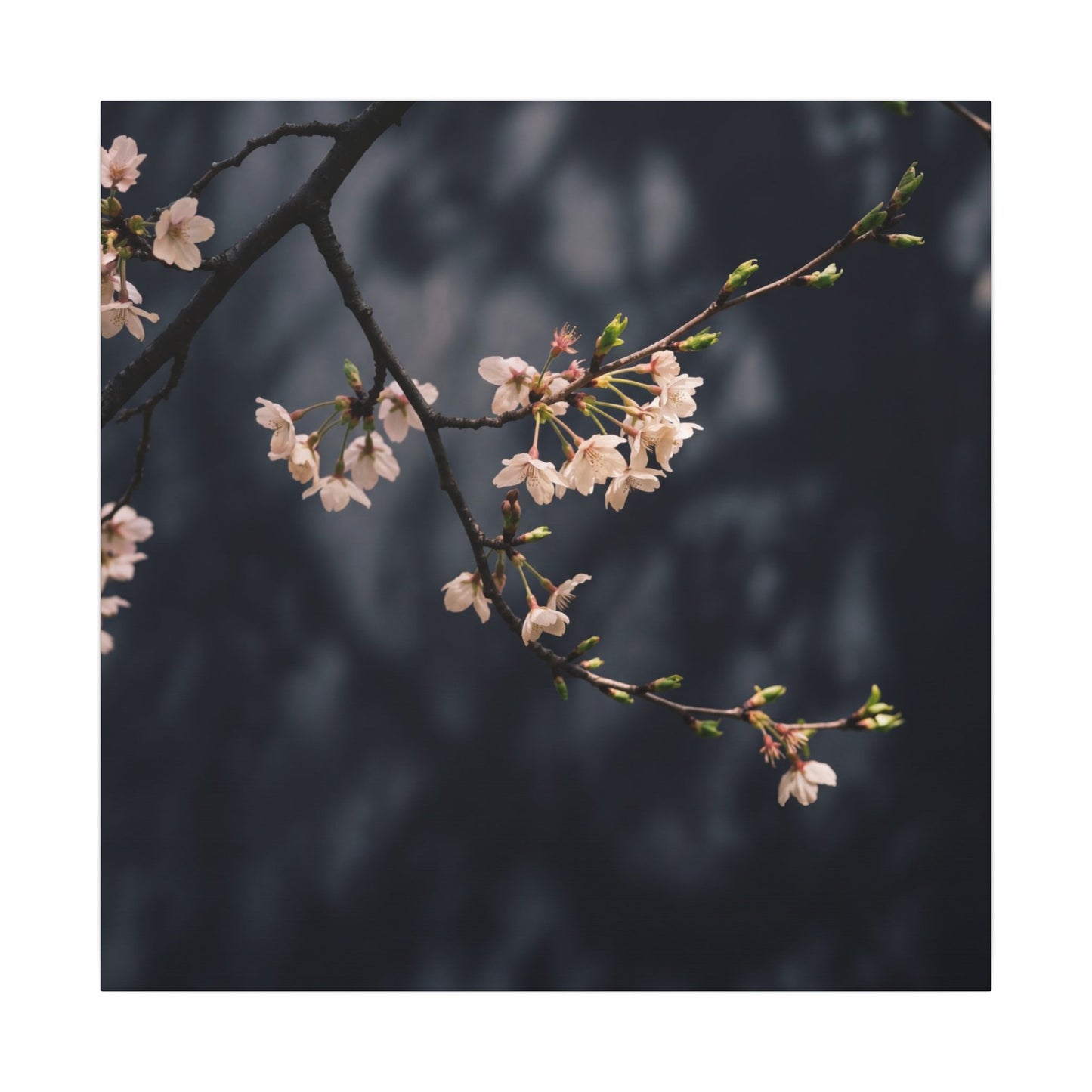 Cherry Blossom Moody Minimal Canvas Art | Bold Dark Japandi Art