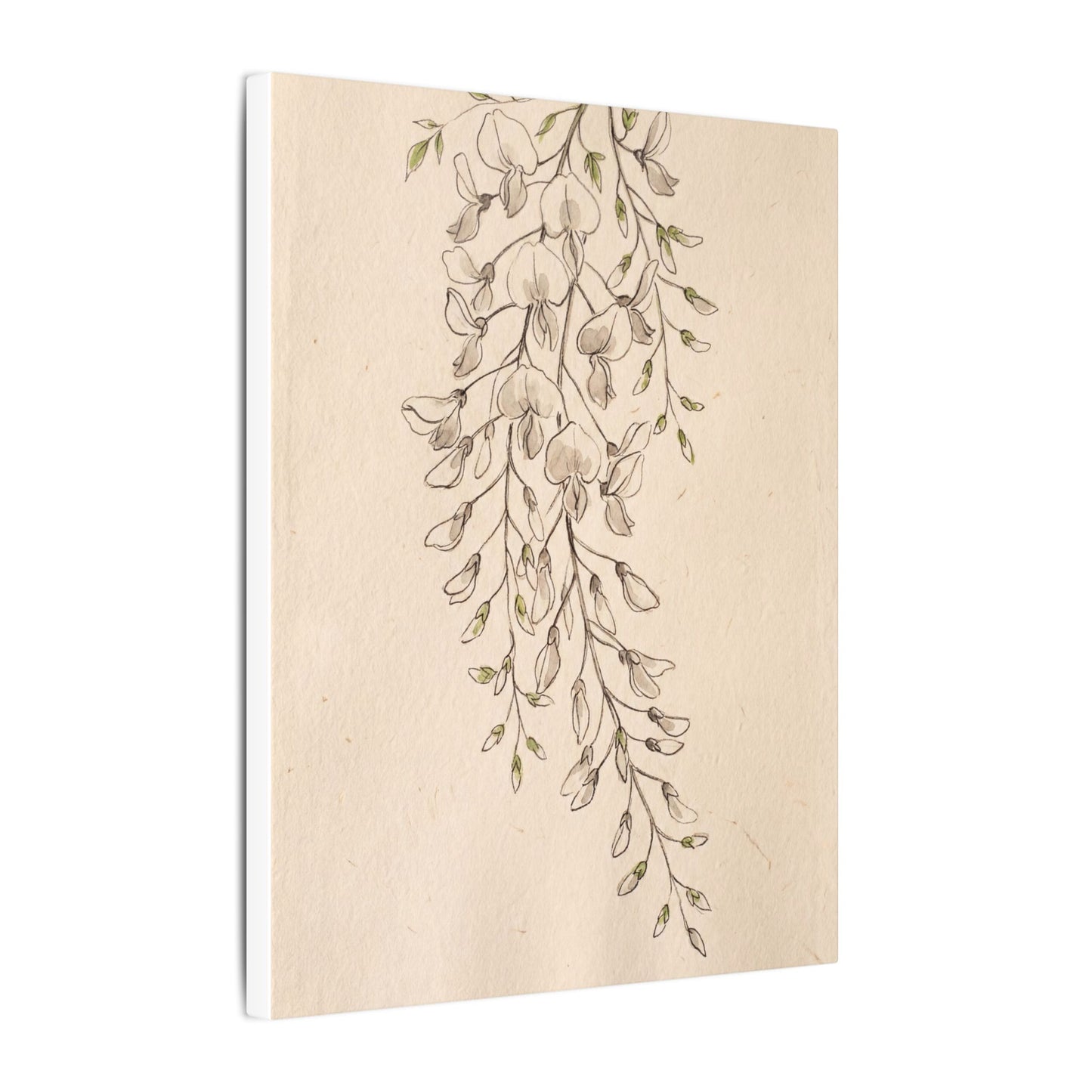 Japandi Wisteria in Golden Hour | Minimal Line Canvas Art
