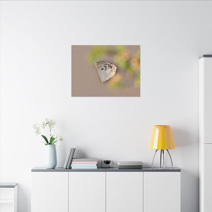 Ceramic Bowl Canvas Art | Spring Japandi Japanese Pattern Art