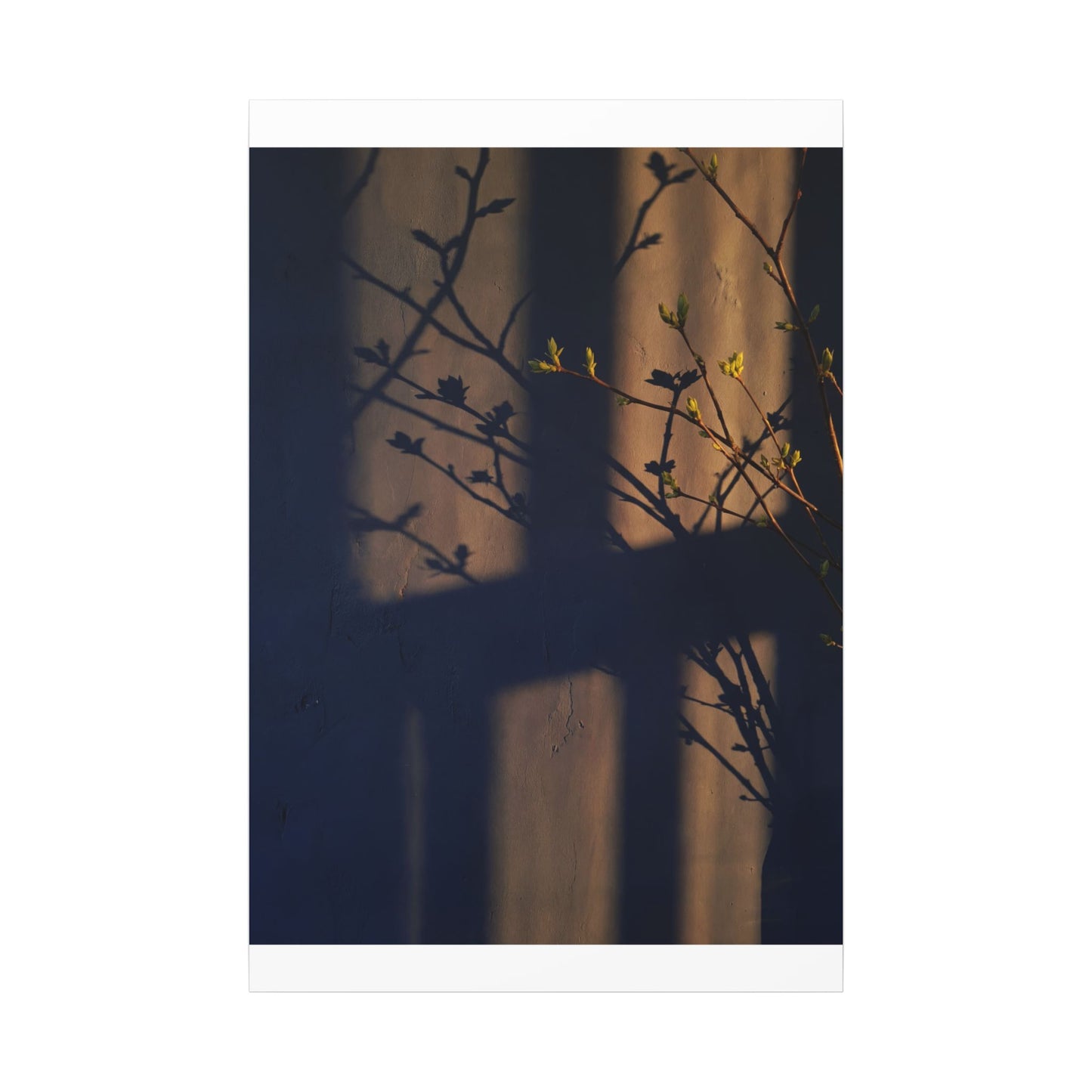 Shadow Play Canvas Art | Spring Dark Japandi Shadow Zen Art
