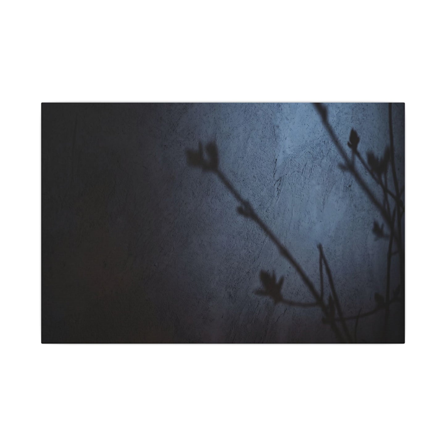 Shadow Play Canvas Art | Spring Dark Japandi Moody Minimal Art