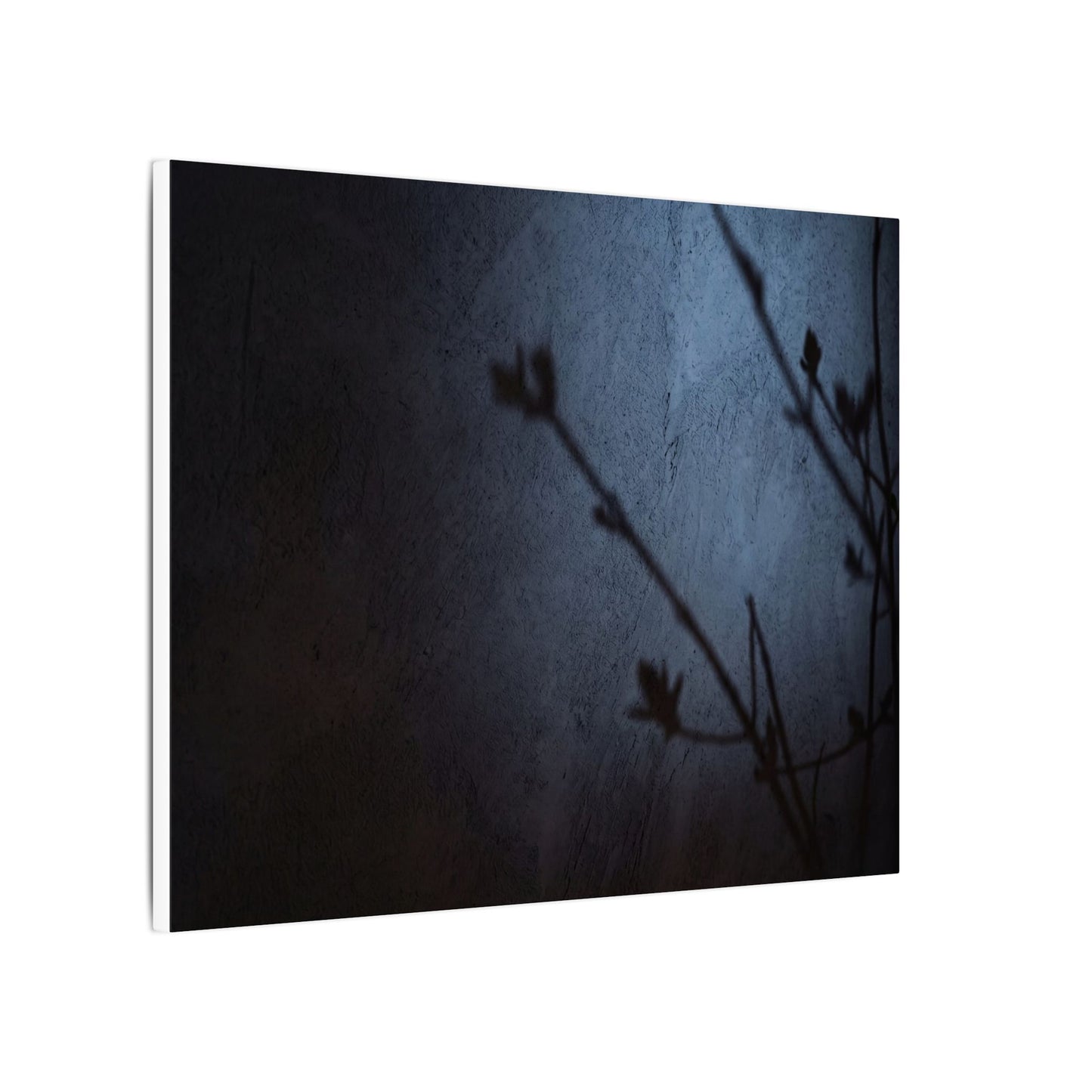 Shadow Play Canvas Art | Spring Dark Japandi Moody Minimal Art