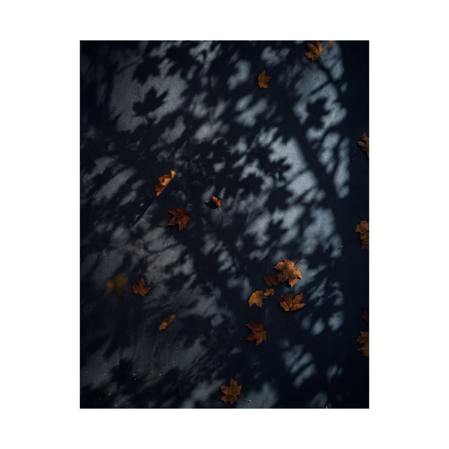 Shadow Play Shadow Zen Wall Art Print | Luxurious Dark Japandi Art