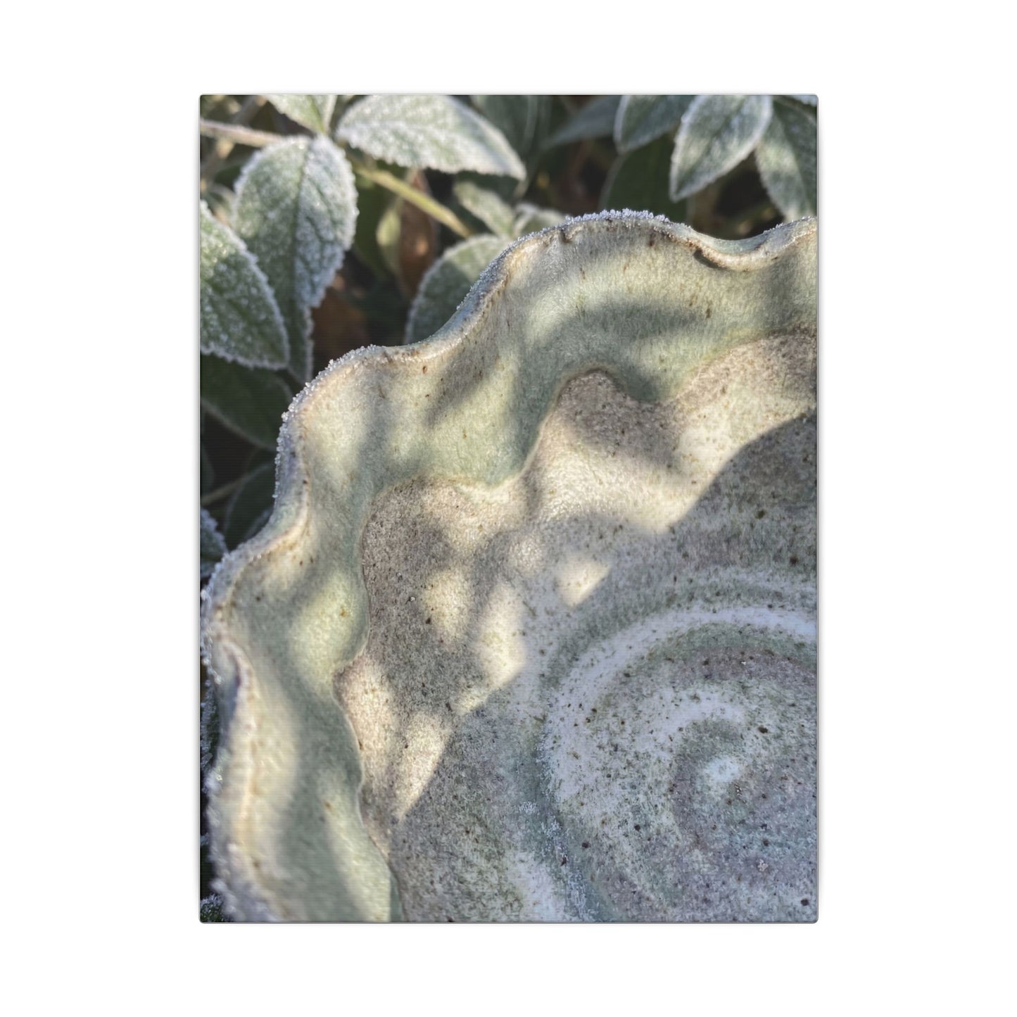 Dappled Ceramic Bowl Canvas Art - Japandi Seijaku