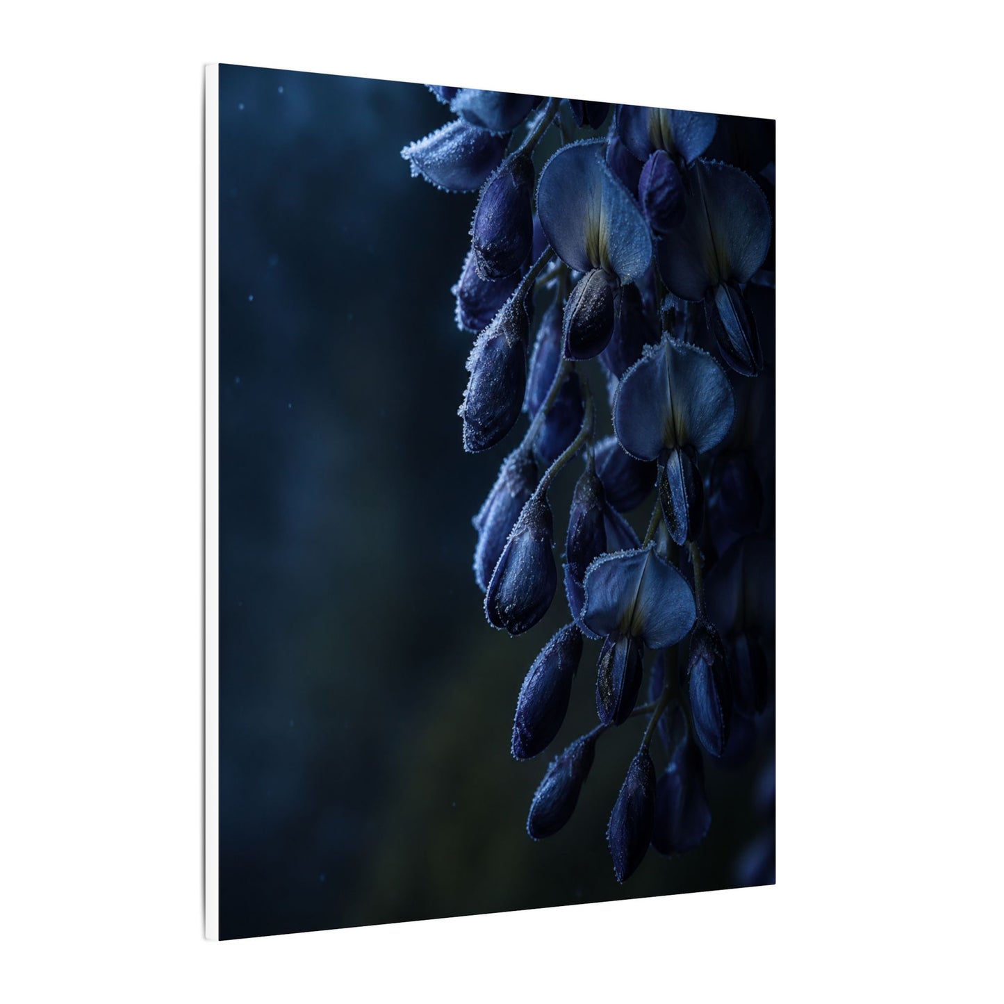 Winter Wisteria Shadow Zen Canvas Art | Atmospheric Decor