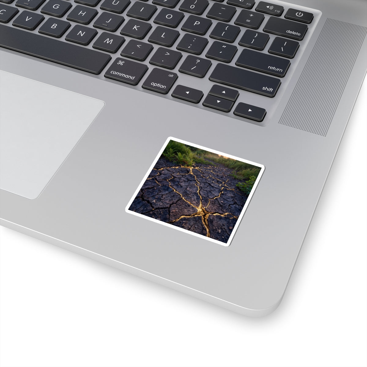 Summer Cracked Earth Crackle Gold Sticker | Philosophical Decor