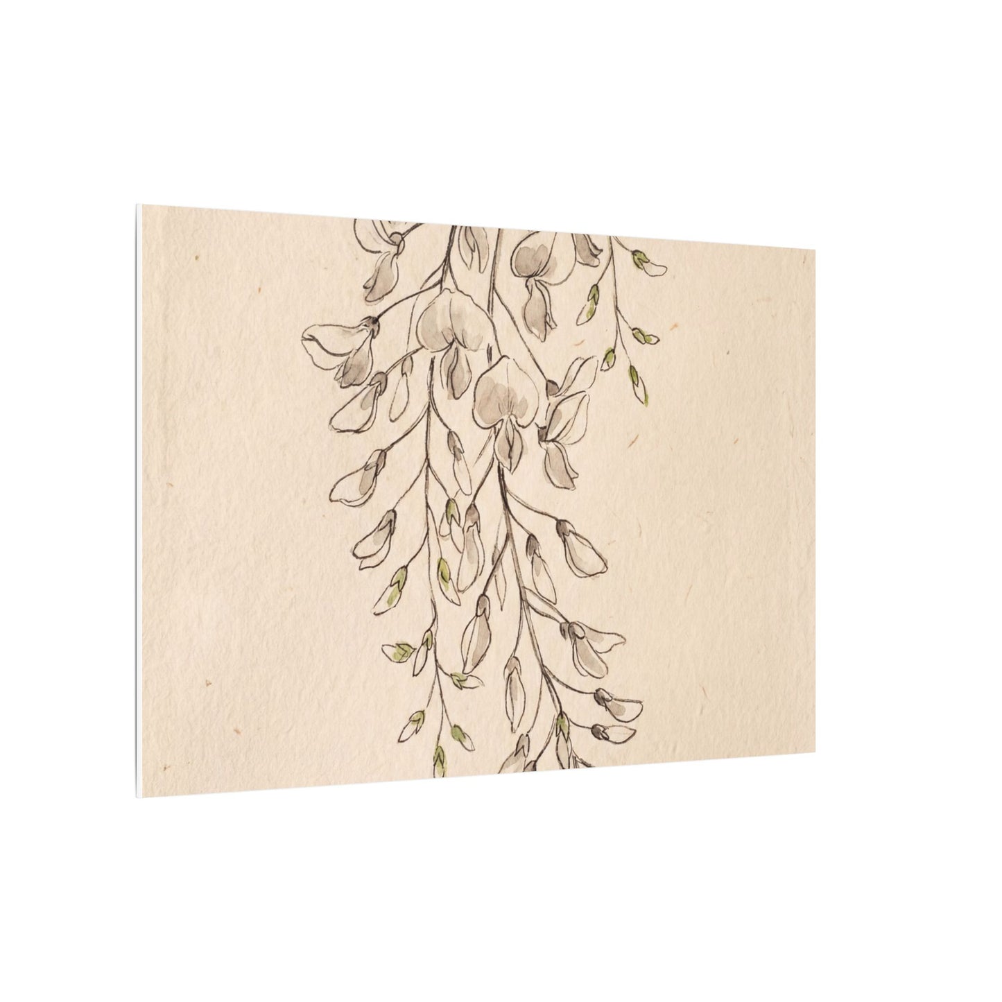 Japandi Wisteria in Golden Hour | Minimal Line Canvas Art