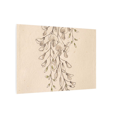 Japandi Wisteria in Golden Hour | Minimal Line Canvas Art
