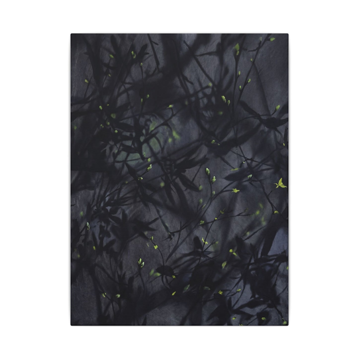 Shadow Play Spring Canvas Art | Dark Japandi Atmospheric Design