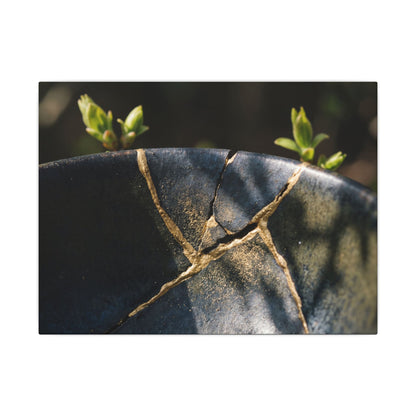 Seijaku Broken Pottery Canvas Art - Dark Japandi Shadow Zen Art Print
