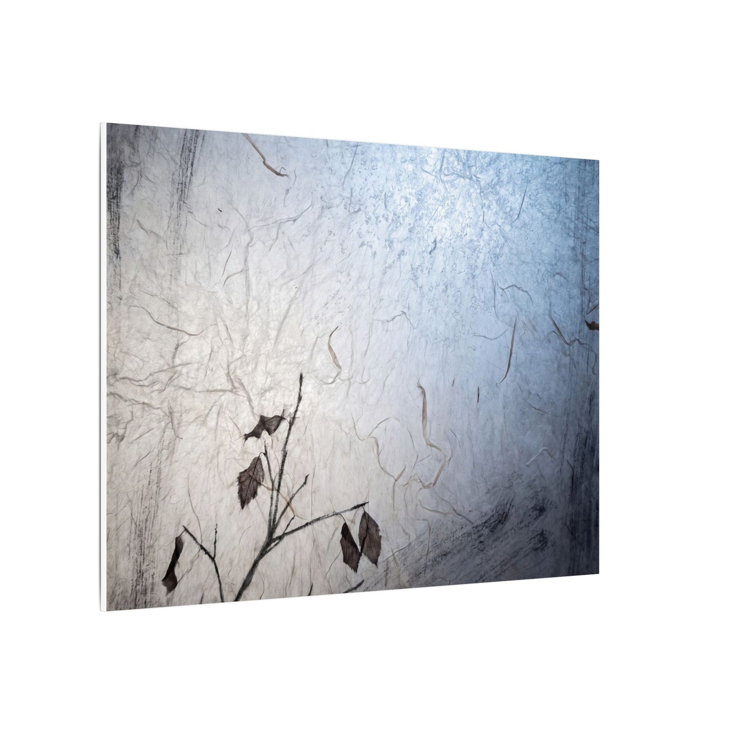 Moonlight Shoji Screen Canvas Art - Japandi Shibui