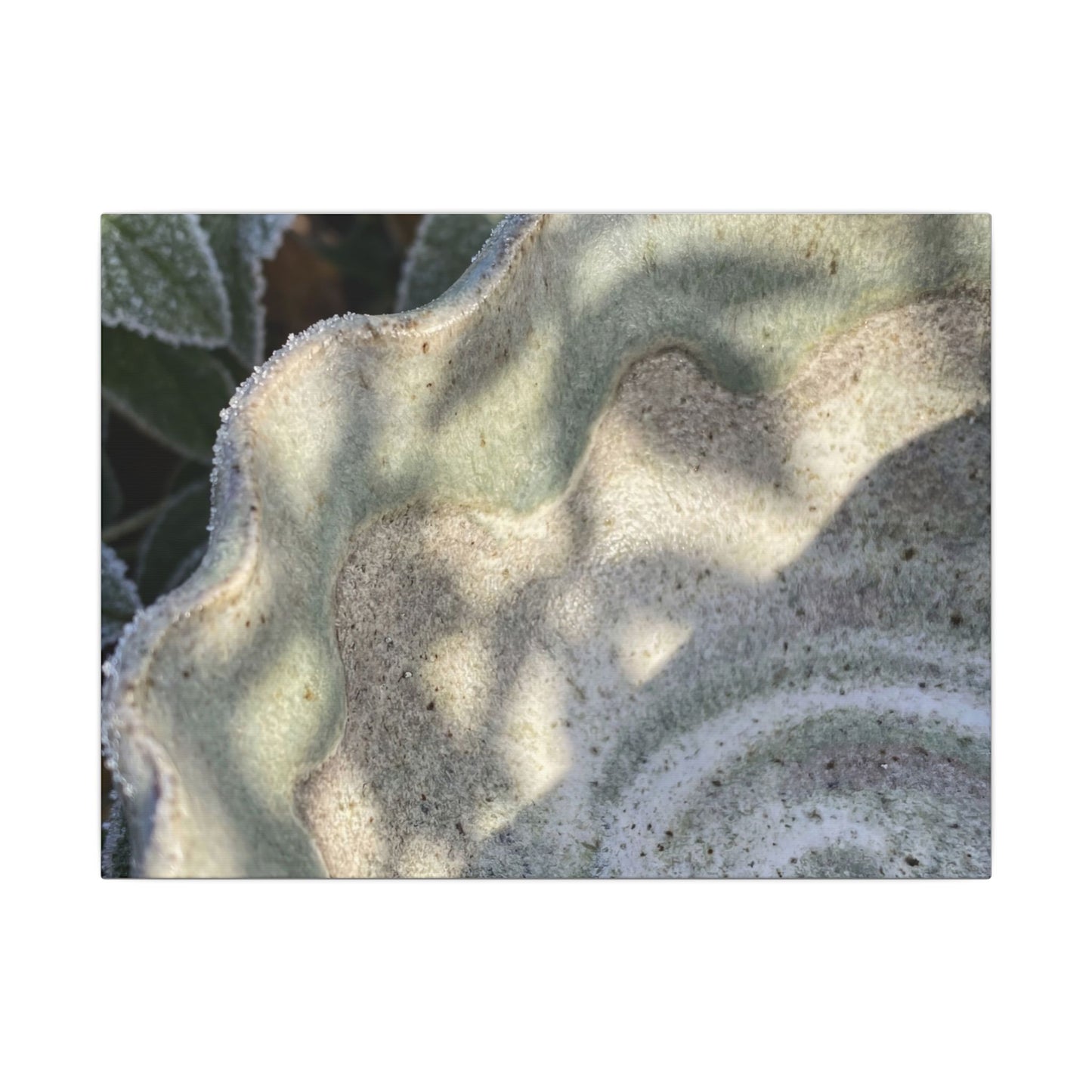 Dappled Ceramic Bowl Canvas Art - Japandi Seijaku Art Print