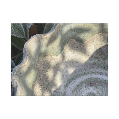 Dappled Ceramic Bowl Canvas Art - Japandi Seijaku Art Print