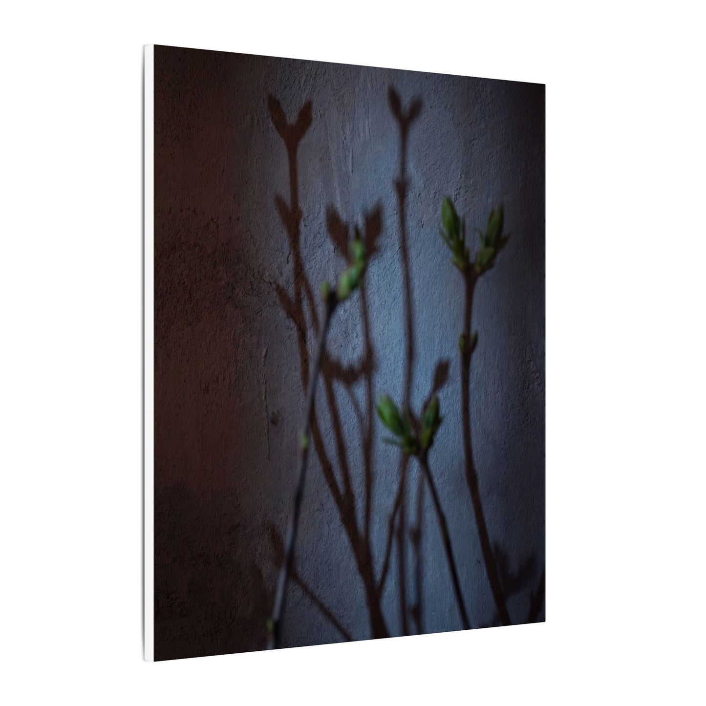 Shadow Play Spring Canvas Art | Dark Japandi Sophisticated Design