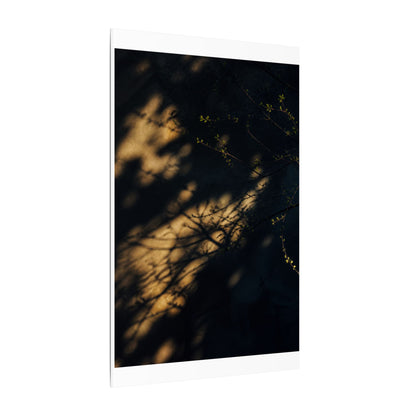 Moody Shadow Play Canvas Art - Moody Minimal Dark Japandi