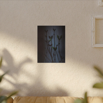 Shadow Play Spring Canvas Art | Dark Japandi Sophisticated Design