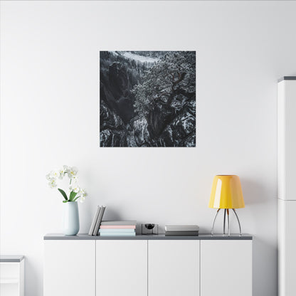 Dark Japandi Pine Tree in Dappled | Dark Texture Canvas Art