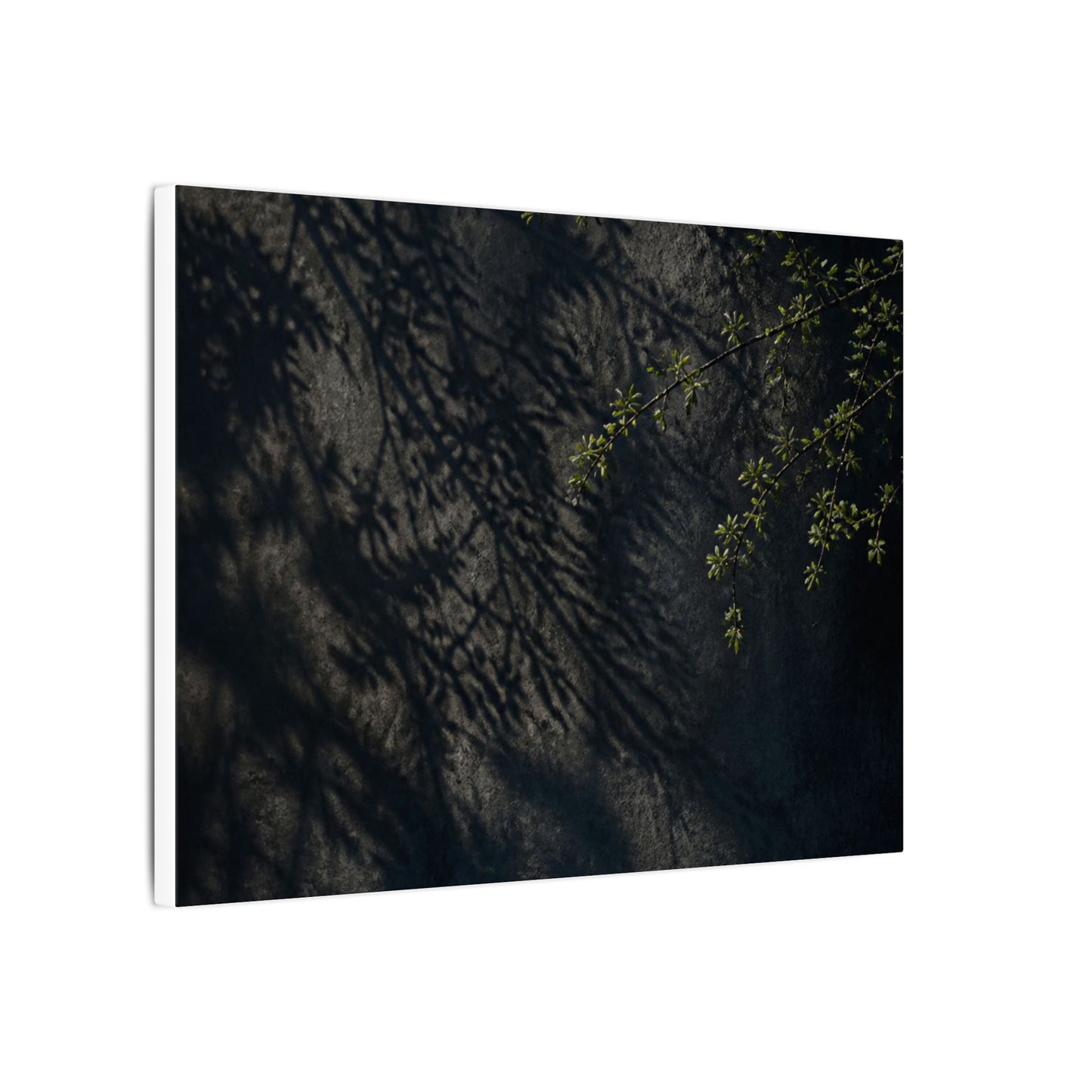 Overcast Shadow Play Canvas Art - Dark Japandi Seijaku