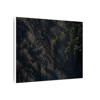 Overcast Shadow Play Canvas Art - Dark Japandi Seijaku