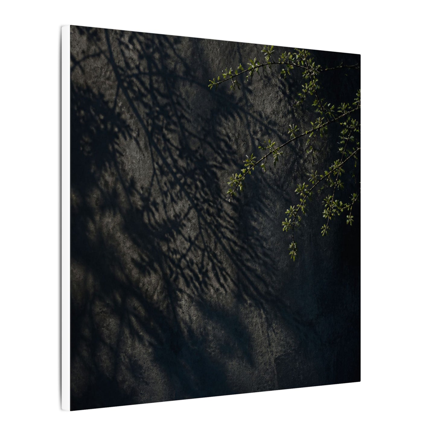 Overcast Shadow Play Canvas Art - Dark Japandi Seijaku