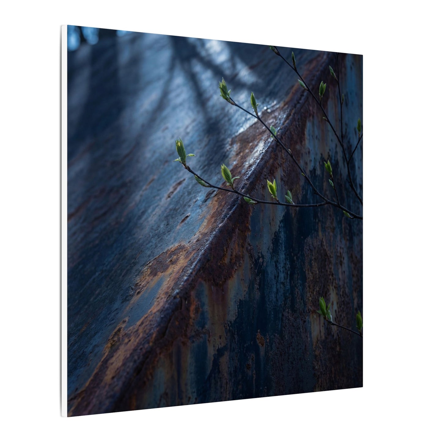 Rust Patina Canvas Art | Spring Dark Japandi Shadow Zen Art Art Print